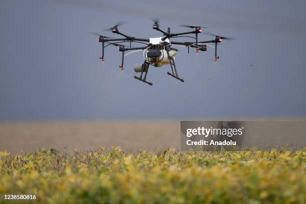 Drone sprays the soybean field in Goias, Brazil on February 12, 2022. Brazil's Congress approves a bill to allow commercialization of pesticides and...