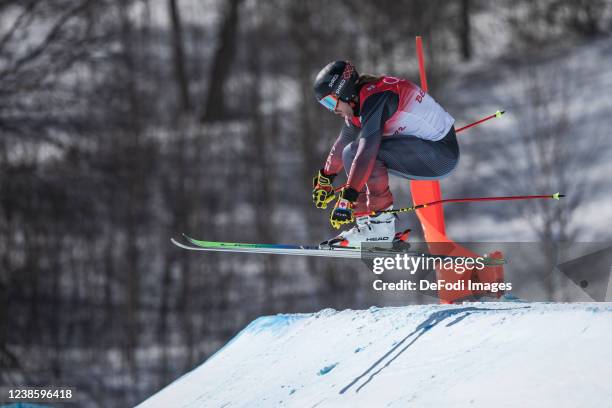 Brady Leman of Canada in action competes during men´s ski cross during the Beijing 2022 Winter Olympics at Genting Snow Park on February 18, 2022 in...