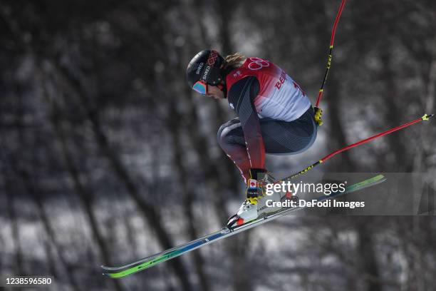 Brady Leman of Canada in action competes during men´s ski cross during the Beijing 2022 Winter Olympics at Genting Snow Park on February 18, 2022 in...