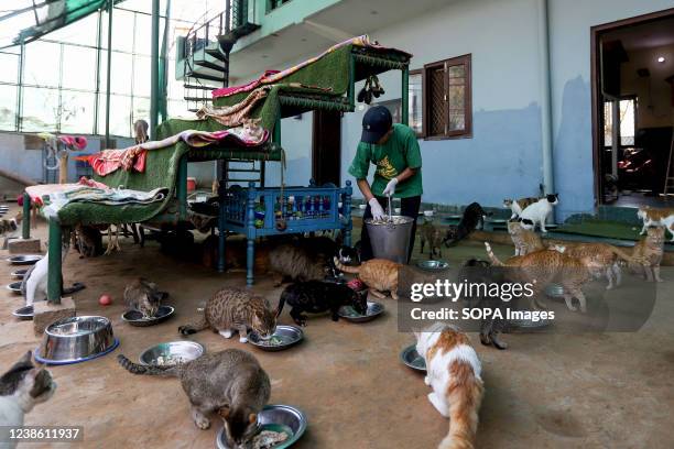 1,413 Animal Caretaker Photos and Premium High Res Pictures - Getty Images 1,413 Animal Caretaker Photos and Premium High Res Pictures - Getty Images
