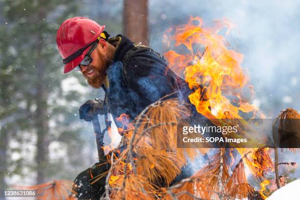Christian Wooster works near a burning woodpile. The U.S. Forest Service conducts a prescribed fire to reduce the fire risk in forest management.