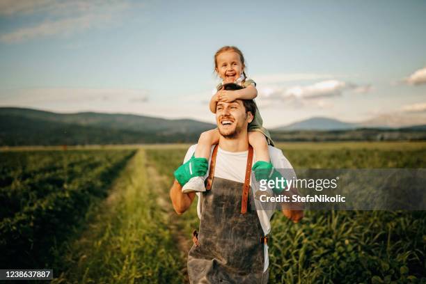 vater spielt mit tochter in filed - happy farmer stock-fotos und bilder