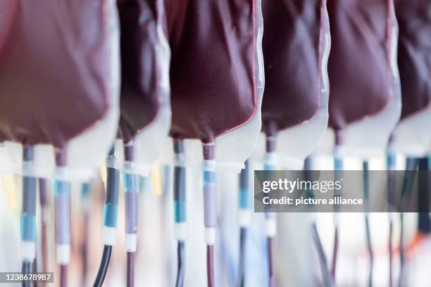 February 2022, North Rhine-Westphalia, Hagen: Blood reserves are filtered and processed in the central laboratory of the DRK blood donation service...