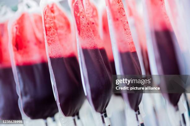 February 2022, North Rhine-Westphalia, Hagen: Blood reserves are filtered and processed in the central laboratory of the DRK blood donation service...