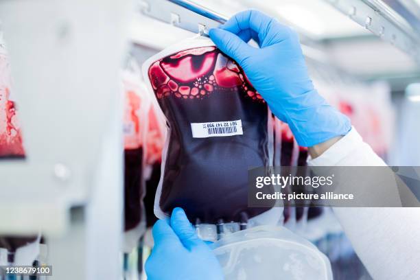 February 2022, North Rhine-Westphalia, Hagen: Blood reserves are filtered and processed in the central laboratory of the DRK blood donation service...