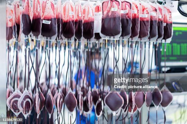 February 2022, North Rhine-Westphalia, Hagen: Blood reserves are filtered and processed in the central laboratory of the DRK blood donation service...