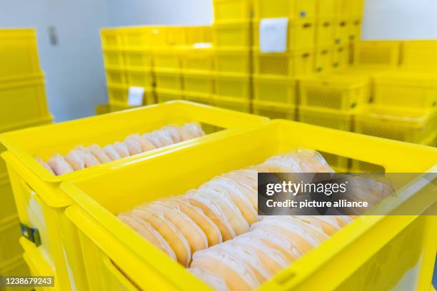 February 2022, North Rhine-Westphalia, Hagen: Frozen blood plasma lies in cold storage in the central laboratory of the DRK blood donation service...