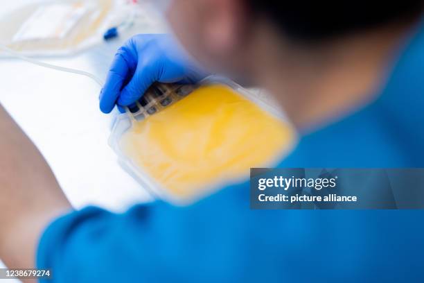 February 2022, North Rhine-Westphalia, Hagen: Blood plasma is deaerated and further processed in the central laboratory of the DRK blood donation...