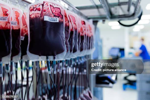 February 2022, North Rhine-Westphalia, Hagen: Blood reserves are filtered and processed in the central laboratory of the DRK blood donation service...