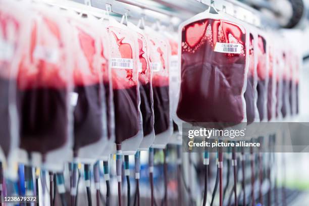 February 2022, North Rhine-Westphalia, Hagen: Blood reserves are filtered and processed in the central laboratory of the DRK blood donation service...