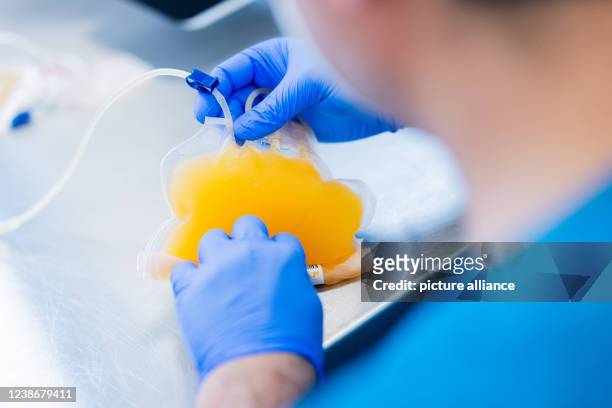 February 2022, North Rhine-Westphalia, Hagen: Blood plasma is deaerated and further processed in the central laboratory of the DRK blood donation...