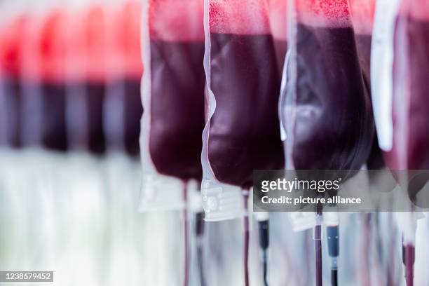 February 2022, North Rhine-Westphalia, Hagen: Blood reserves are filtered and processed in the central laboratory of the DRK blood donation service...