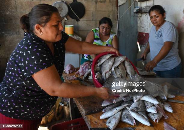 Local women peel and clean freshly caught fish by family members at their home in Celestun. On Tuesday, February 22 in Celestun, Yucatan, Mexico.