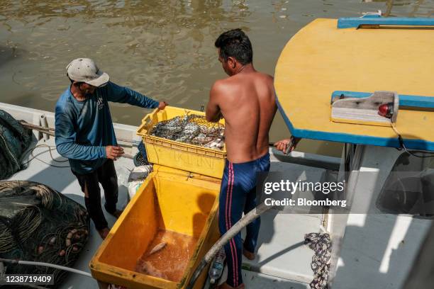 Fish Loading Jetty 1,855 Malaysian Jetty Stock Photos, High-Res Pictures, and Images ...