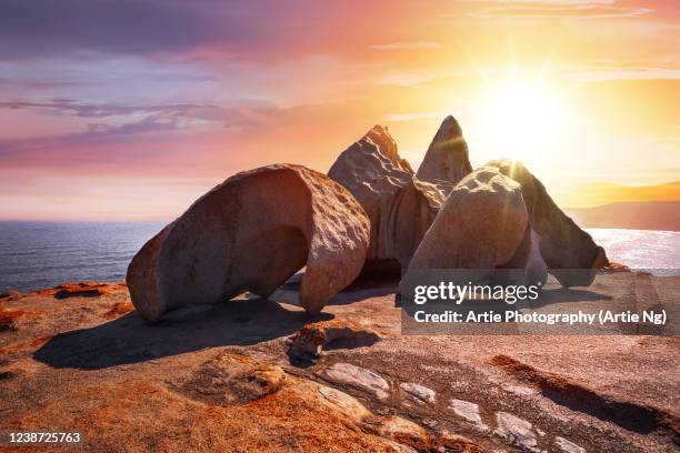 sunset at remarkable rocks, flinders chase national park, kangaroo island, south australia - australia kangaroo island fotografías e imágenes de stock