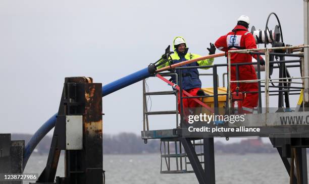 February 2022, Mecklenburg-Western Pomerania, Schaprode: Between the islands of Rügen and Hiddensee, workers are using the submarine cable cutter...