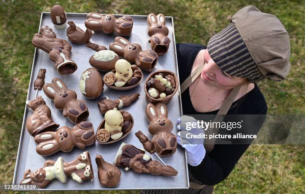 February 2022, Brandenburg, Hornow: Angelina Piosik, employee of Confiserie Felicitas GmbH, carries a tray with various chocolate figures for Easter....