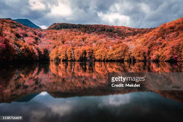 the autumn foliage from hakkoda mountain range with the reflection in the lake, tsuta-numa, aomori, tohoku region, japan - aomori - fotografias e filmes do acervo