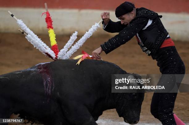 Banderillero performs on a bull during a bullfight at Plaza Marruecos bullring in Puente de Piedra, Madrid municipality near Bogota on February 26,...