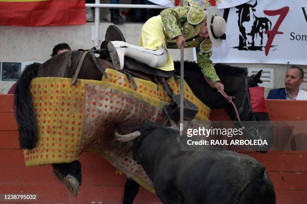 Picador performs on a bull during a bullfight at Plaza Marruecos bullring in Puente de Piedra, Madrid municipality near Bogota on February 26, 2022.
