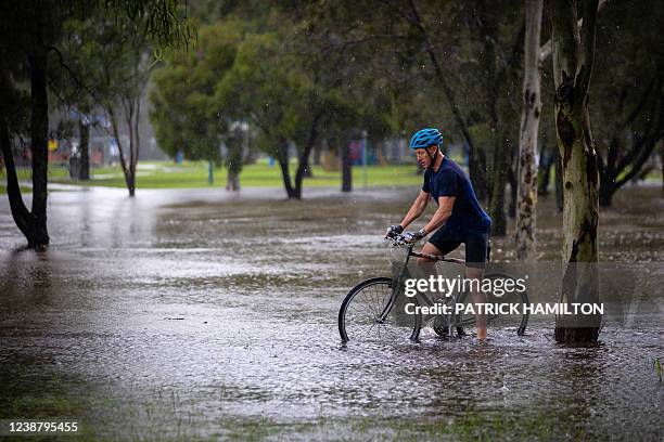 35 Norman Park Queensland Stock Photos, High-Res Pictures, and Images ...