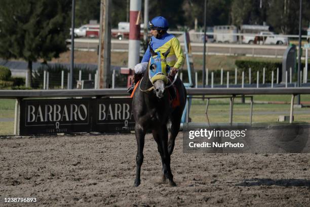 Jockey riding a horse at the Hipódromo de Las Américas located in Mexico City, where some exhibitions were held, such as floreo de reata, el gallo...