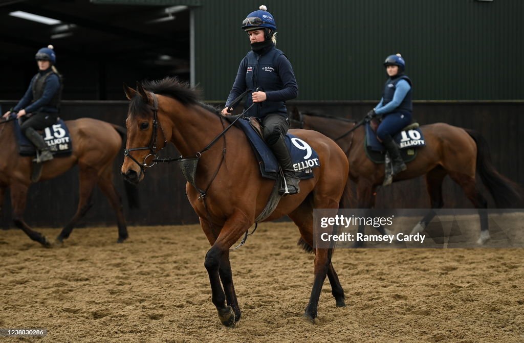 Gordon Elliott Yard Visit