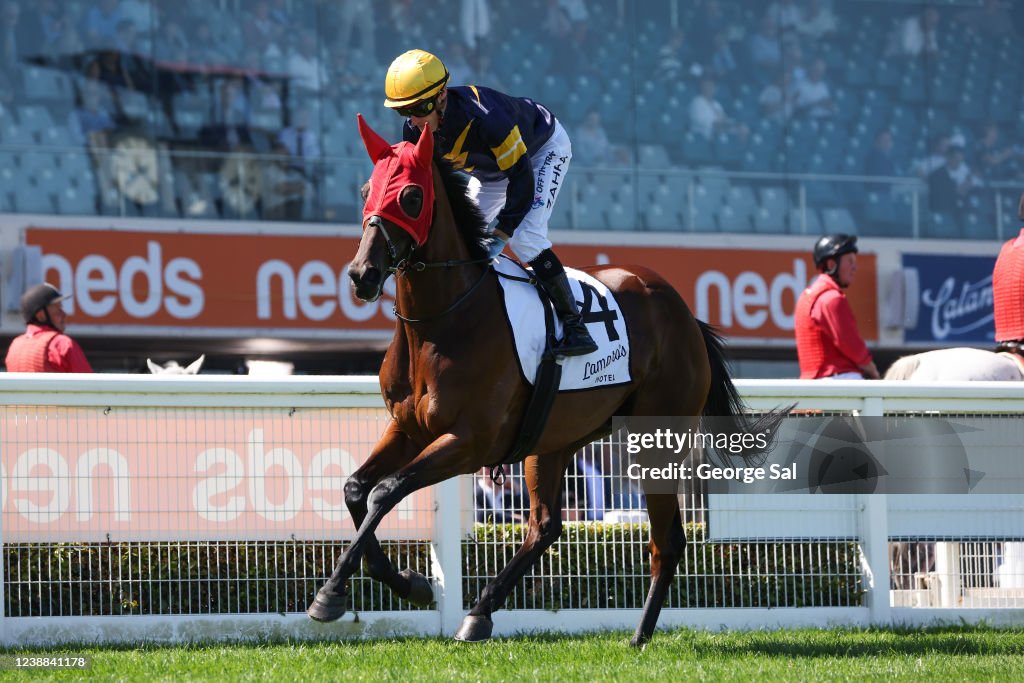 Lamaro's Hotel Futurity Stakes