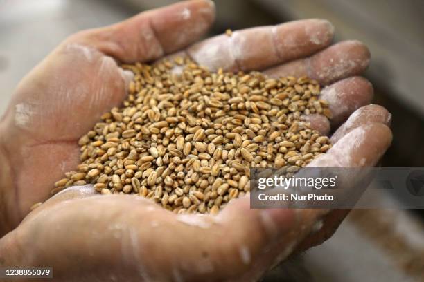 Palestinian workers work in a wheat mill, in Deir al-Balah in the central Gaza Strip, on March 1, 2022.- Russia's invasion of Ukraine could mean less...