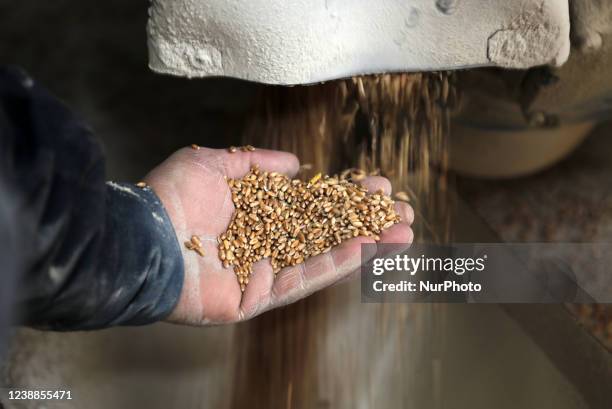 Palestinian workers work in a wheat mill, in Deir al-Balah in the central Gaza Strip, on March 1, 2022.- Russia's invasion of Ukraine could mean less...