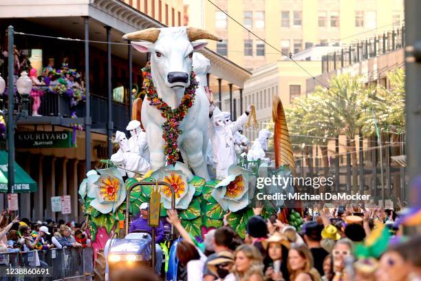 The Boeuf Gras float rolls down St. Charles Avenue on Mardi Gras Day as the 440 riders of Rex, King of Carnival, celebrate their 150th year with a...