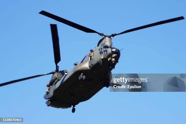 Royal Air Force Chinook helicopter landing in field on March 1, 2022 in Kazlu Ruda, Lithuania. Saber Strike 2022 is an element of the large-scale...