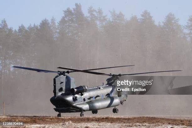 Royal Air Force Chinook helicopter landing in field on March 1, 2022 in Kazlu Ruda, Lithuania. Saber Strike 2022 is an element of the large-scale...