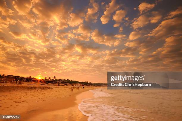sunrise over candolim beach in goa, india - goa beach bildbanksfoton och bilder