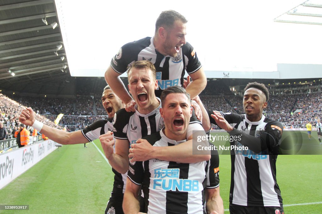 Newcastle United v Brighton & Hove Albion - Premier League