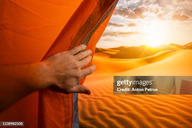 desert sunset view from the tent. travel to the sahara desert - arabian tent stock-fotos und bilder