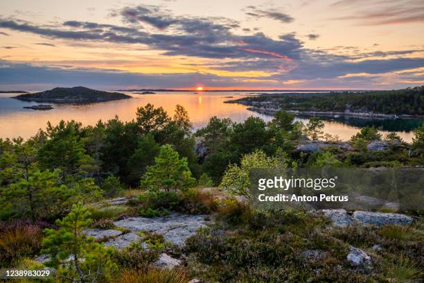 sunset on the swedish coast. - schweden stock-fotos und bilder