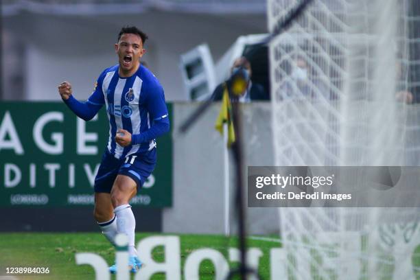 Pepe of FC Porto celebrates after scoring his team's first goal during the Liga Portugal Bwin match between FC Pacos de Ferreira and FC Porto at...