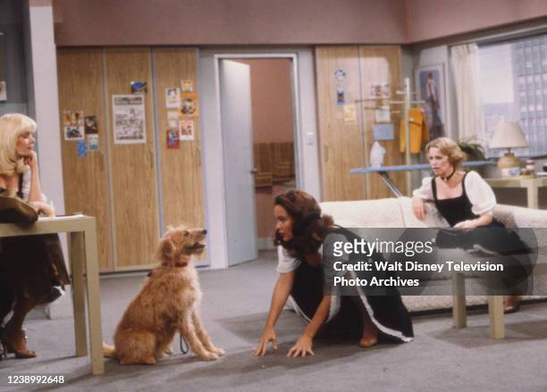 Los Angeles, CA Ann Jillian, Gail Edwards, Louise Lasser appearing in the ABC tv series 'It's A Living'.
