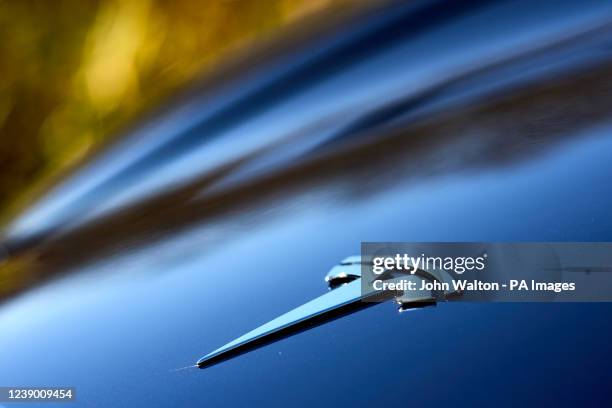 The Tesla logo on a electric vehicle in London. Picture date: Monday March 7, 2022.