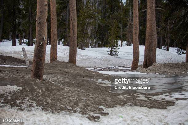 Low levels of of snowpack in the Sierra at the top of Donner Summit in Soda Springs, California, U.S., on Thursday, March 3, 2022. Californias snow...