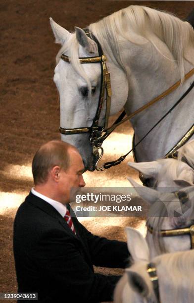Putin Cal 181 Vladimir Putin Horse Stock Photos, High-Res Pictures, and Images ...