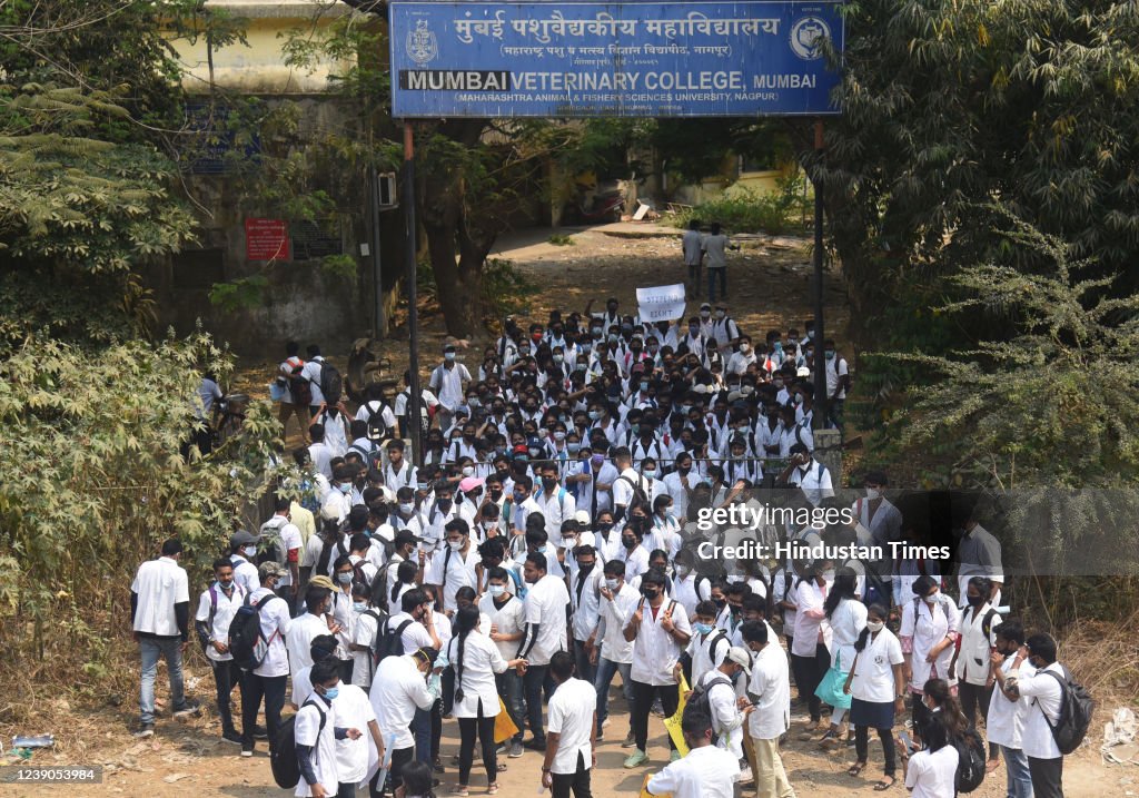 Around 300-350 students of Mumbai Veterinary College of Maharashtra... News  Photo - Getty Images