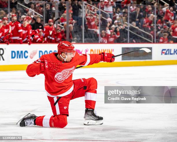 Jakub Vrana of the Detroit Red Wings celebrates after scoring a goal during the first period of an NHL game against the Minnesota Wild at Little...