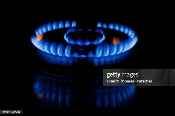 Symbolic photo on the subject of rising gas costs. Blue flames emanate from a gas stove in a kitchen on March 11, 2022 in Berlin, Germany.