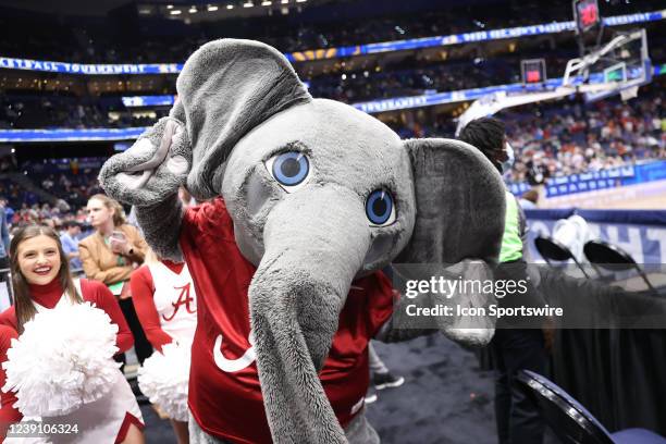 The Alabama mascot poses for photos before the SEC Tournament between the Vanderbilt Commodores and the Alabama Crimson Tide on Thursday, March 10,...