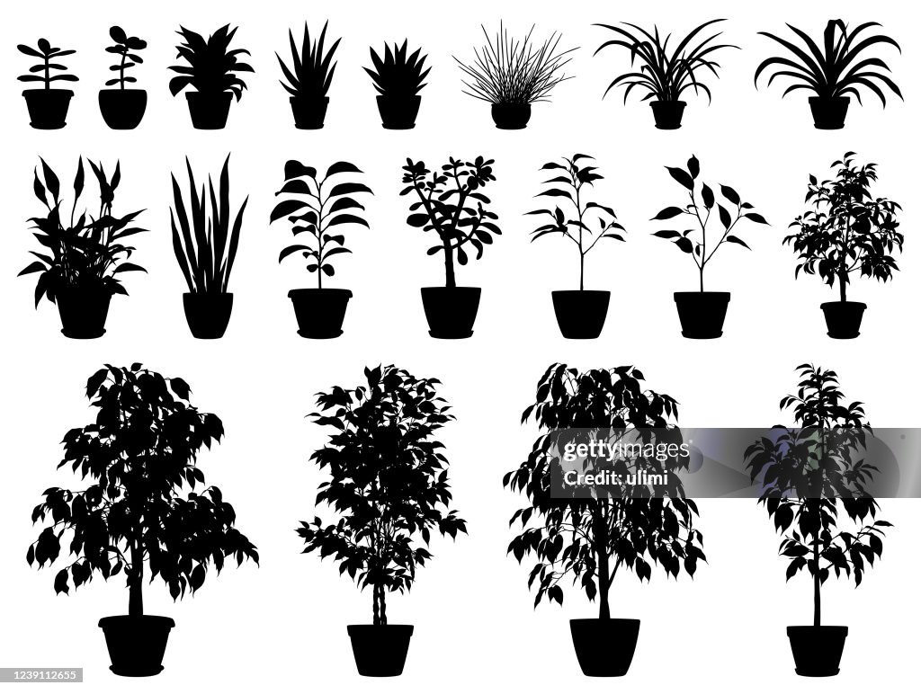 Vectorsilhouetten van ingemaakte installaties