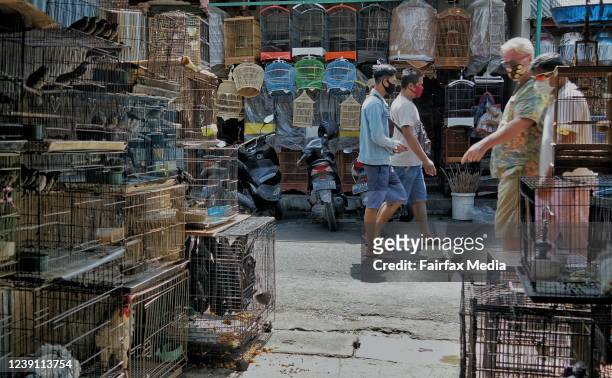 Live animals, including local wildlife, are on sale at the Satria Bird Market in Denpasar, Bali, Indonesia, May 29, 2020. Live animal markets have...