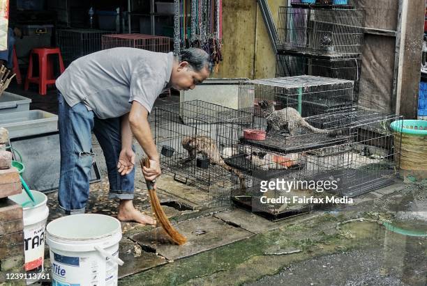 Live animals, including local wildlife, are on sale at the Satria Bird Market in Denpasar, Bali, Indonesia, May 29, 2020. Live animal markets have...