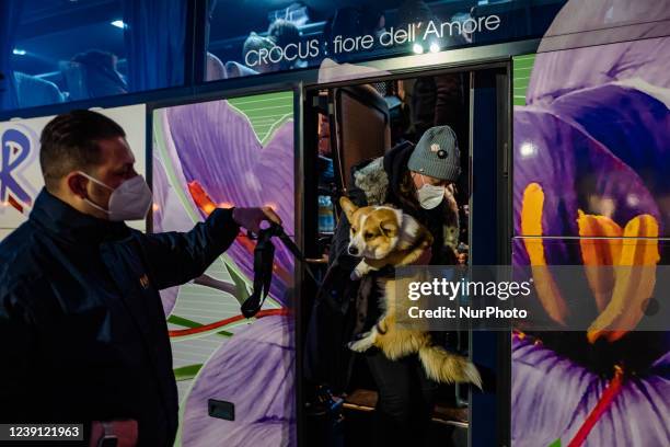 Ukrainian lady and her dog get off the bus that has traveled 2000 km to save them from the war, on 11 March 2022 in Molfetta at Banchina Seminario....